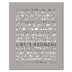 Cadre Déco "La vie est beauté" - gris